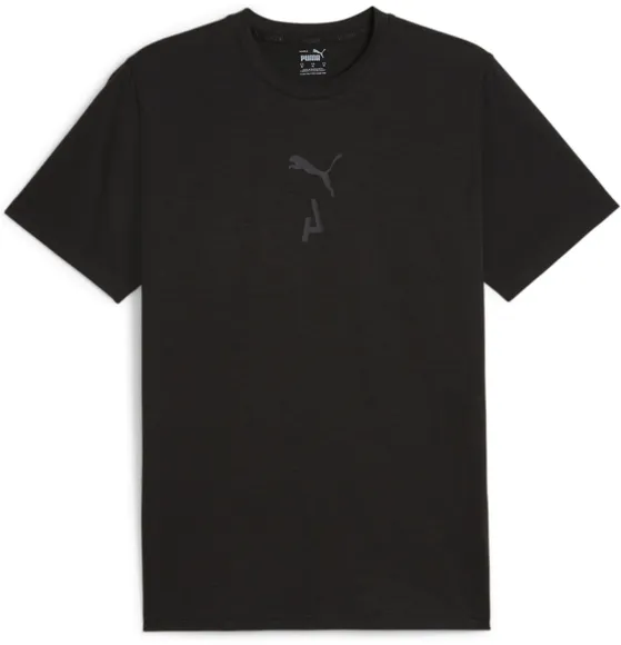 Футболка Puma MEN"S GRAPHIC SEASONS TEE 52511101