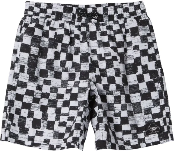 Шорты для плавания Quiksilver CHECKERS 15NB JAMV KVJ6 AQBJV03056-KVJ6