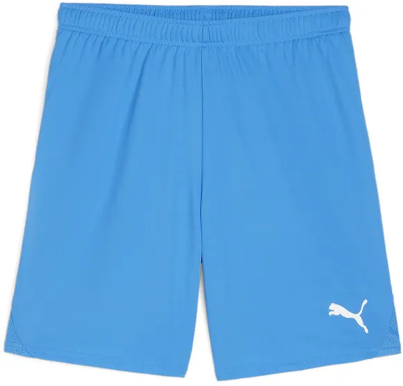 Шорты Puma teamGOAL Shorts