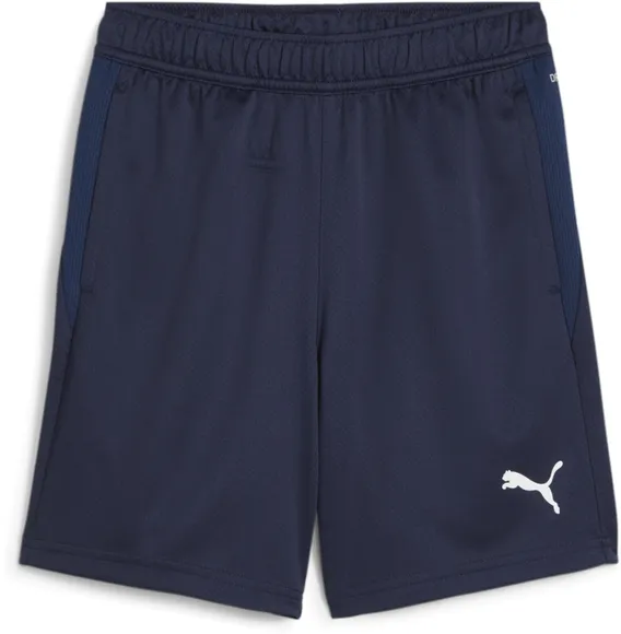 Шорты Puma teamGOAL Training Short Jr 65864406