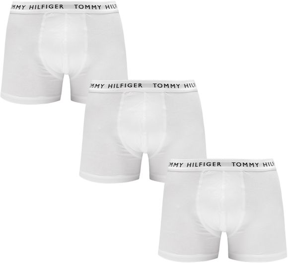 Трусы (3 шт) Tommy Hilfiger Underpants UM0UM02203-0VL