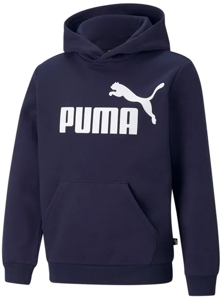 Толстовка Puma ESS Big Logo Hoodie FL B 58696506