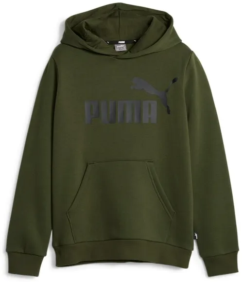 Толстовка Puma ESS Big Logo Hoodie FL B 58696531