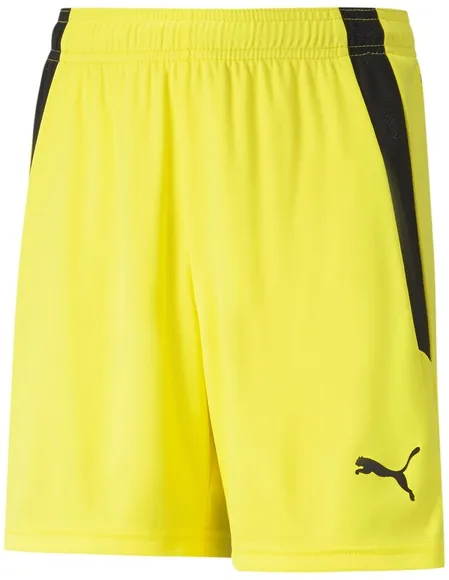 Шорты Puma teamLIGA Shorts Jr 70493142