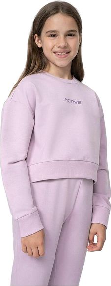 Свитшот 4F SWEATSHIRT F276 4FJSS23TSWSF276-52S