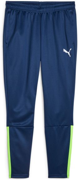 Брюки Puma teamLIGA Training Pants 65724254