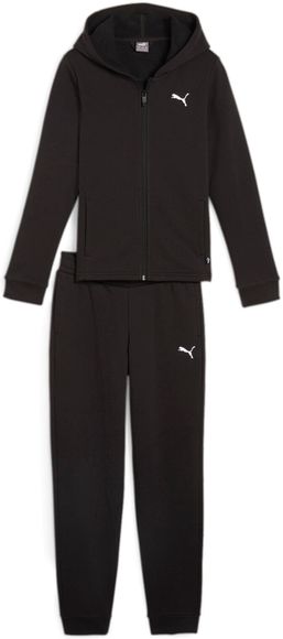 Спортивный костюм Puma Hooded Sweat Suit TR cl G 67358601