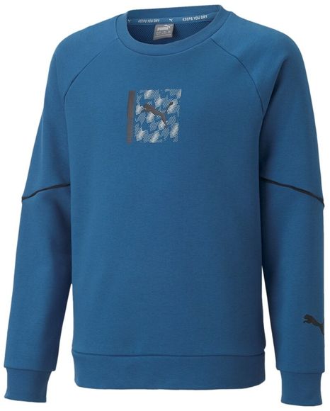 Джемпер Puma Active Sports Crew TR B 67007417