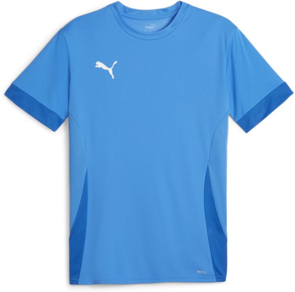 Футболка Puma teamGOAL Matchday  Jersey