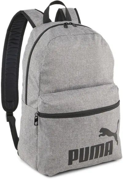 Рюкзак PUMA Phase Backpack III 9011801