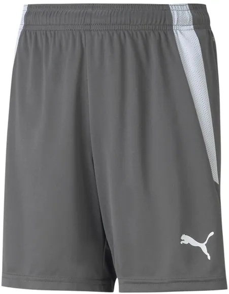 Шорты Puma teamLIGA Shorts Jr 70493113