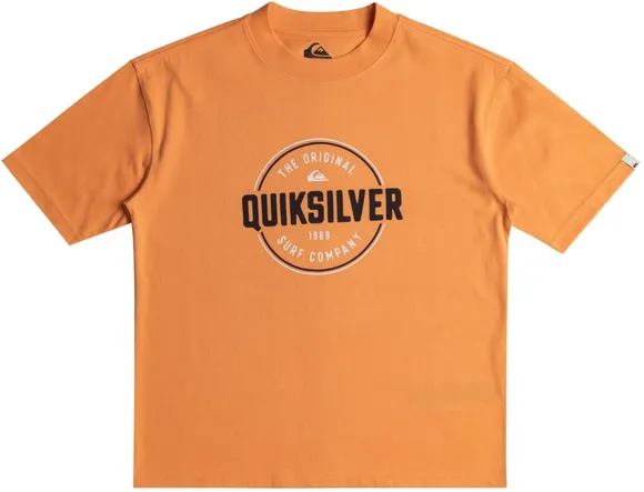 Футболка Quiksilver CIRCLEUPSSYTH TEES NJF0 EQBZT04708-NJF0