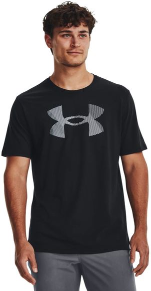 Футболка Under Armour UA BIG LOGO FILL SS 1379451-001