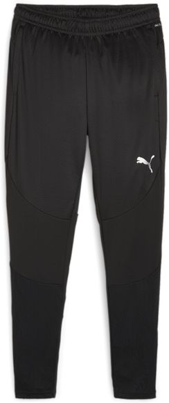 Брюки Puma teamFINAL Training Pants 65856303