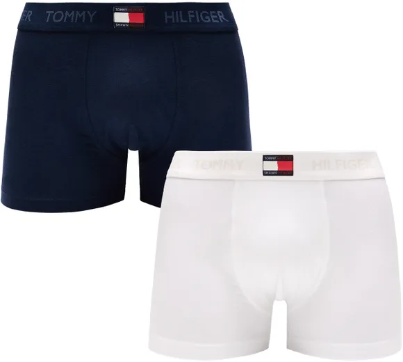 Трусы (2 шт) Tommy Hilfiger Underpants UM0UM02910-0WW