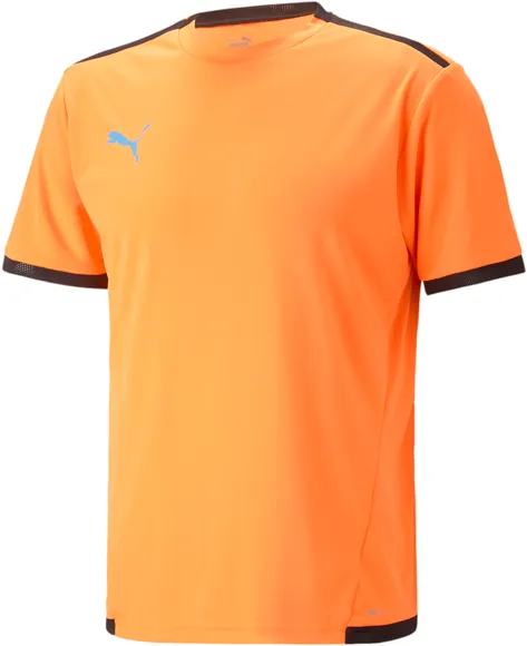 Футболка Puma teamLIGA Jersey