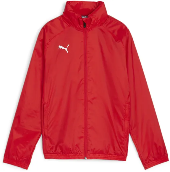 Ветровка Puma teamGOAL Allweather Jkt Jr 65904501