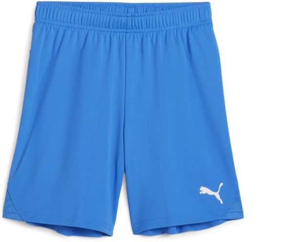 Шорты Puma teamGOAL Shorts Jr