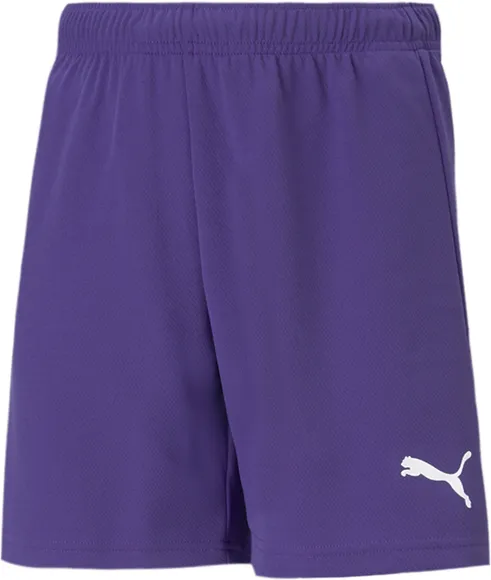 Шорты Puma teamRISE Short Jr 70494310