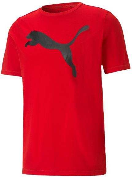 Футболка Puma ACTIVE Big Logo Tee 58672411