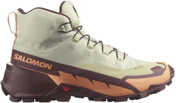 Кроссовки Salomon CROSS HIKE MID GTX 2 W L47277900