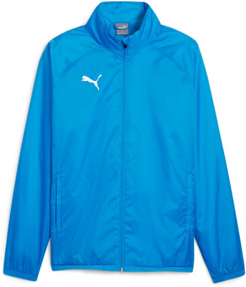 Олимпийка Puma teamGOAL All Weather Jacket 65903802