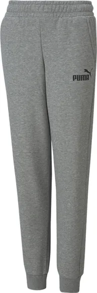 Брюки Puma ESS Logo Pants TR cl B 58697403