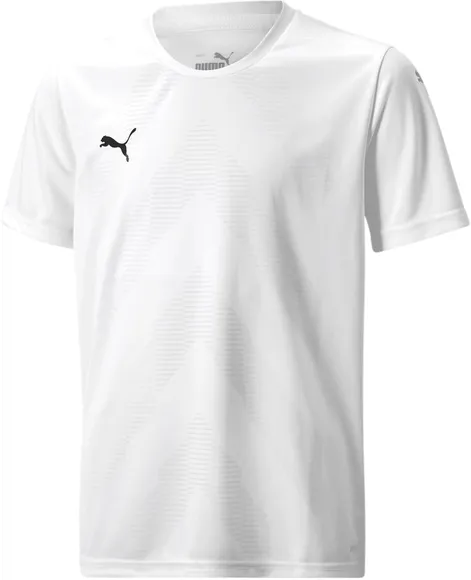 Футболка Puma teamGLORY Jersey Jr 70530904