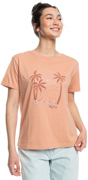 Футболка Roxy SUMMER FUN C TEES TJB0 ERJZT05701-TJB0