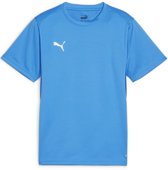 Футболка Puma teamGOAL Jersey Jr 65863702