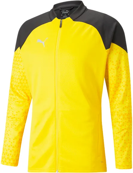 Олимпийка Puma teamCUP Training Jacket