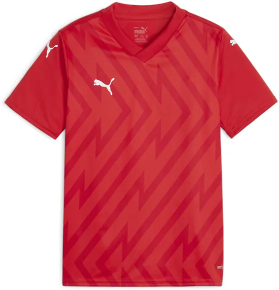 Футболка Puma teamGLORY Jersey Jr 70574101