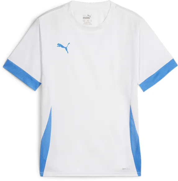 Футболка Puma teamGOAL Matchday Jersey jr 70574812