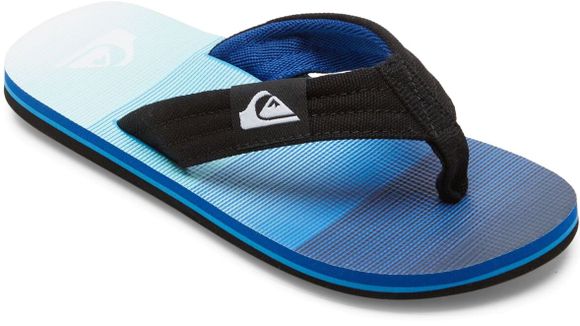 Сланцы Quiksilver MOLO LAYBACK YT SNDL XBBB AQBL100591-XBBB