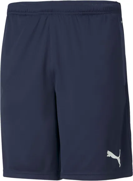 Шорты Puma teamRISE Training Shorts 65733606