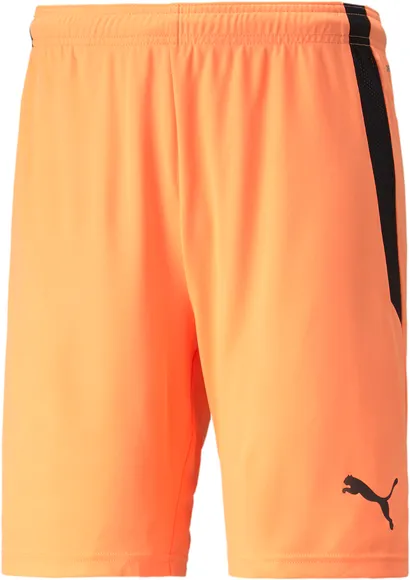 Шорты Puma teamLIGA Shorts 70492421