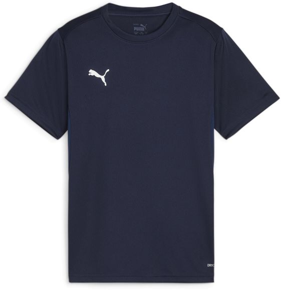 Футболка Puma teamGOAL Jersey Jr