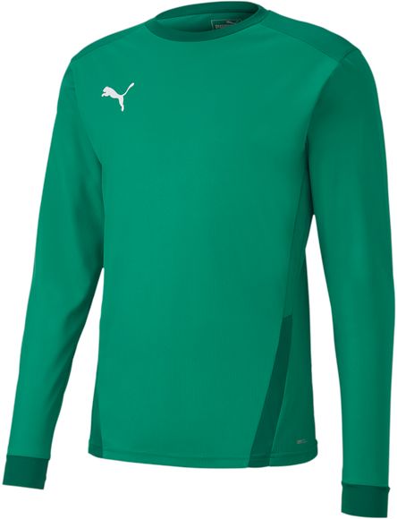 Лонгслив Puma teamGOAL 23 Jersey LS 70426005