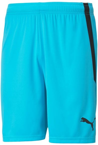 Шорты Puma teamLIGA Shorts