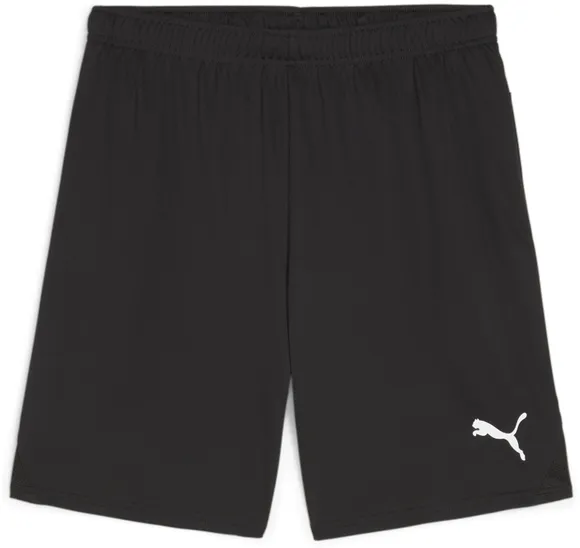 Шорты Puma teamGOAL Shorts 70575203