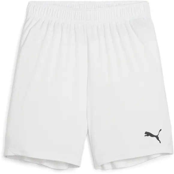 Шорты Puma teamGOAL Shorts Jr 70575304