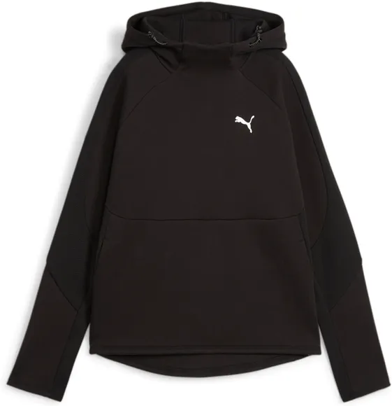 Толстовка Puma EVOSTRIPE Hoodie 67787701