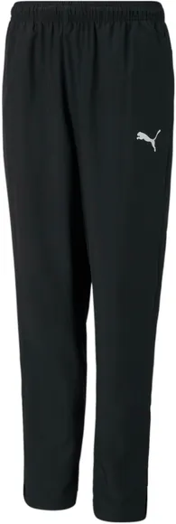 Брюки Puma teamRISE Sideline Pants Jr 65732903