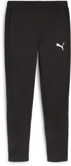 Брюки Puma EVOSTRIPE Pants DK 67899701