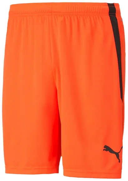 Шорты Puma teamLIGA Shorts 70492445