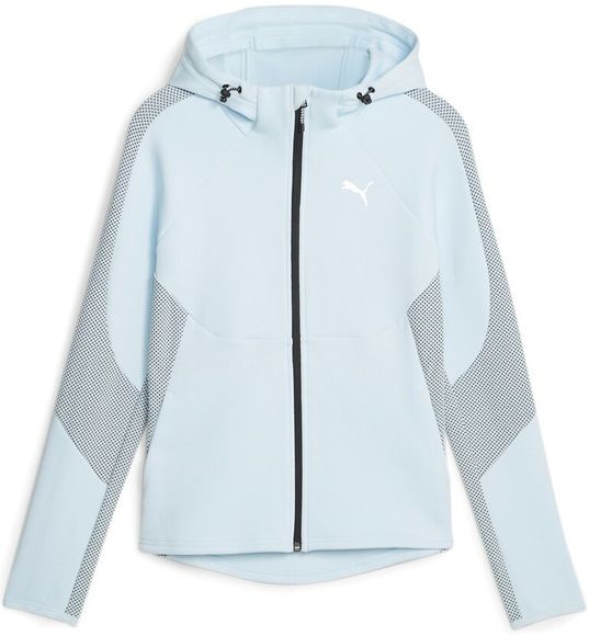 Толстовка Puma EVOSTRIPE Full-Zip Hoodie 67607369