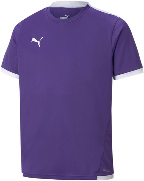 Футболка Puma teamLIGA Jersey Jr 70492510