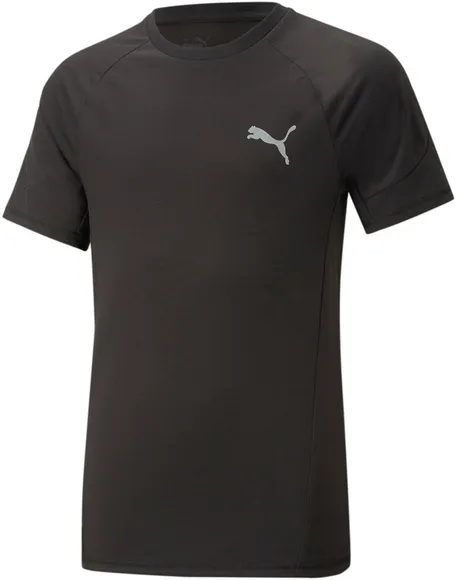 Футболка Puma EVOSTRIPE Tee B 67318701