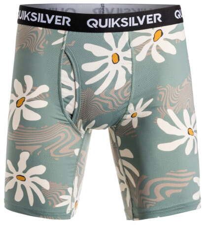 Трусы (2 шт) Quiksilver 2PK QK PERF BXR BXBR GHG6 AQYLW03011-GHG6