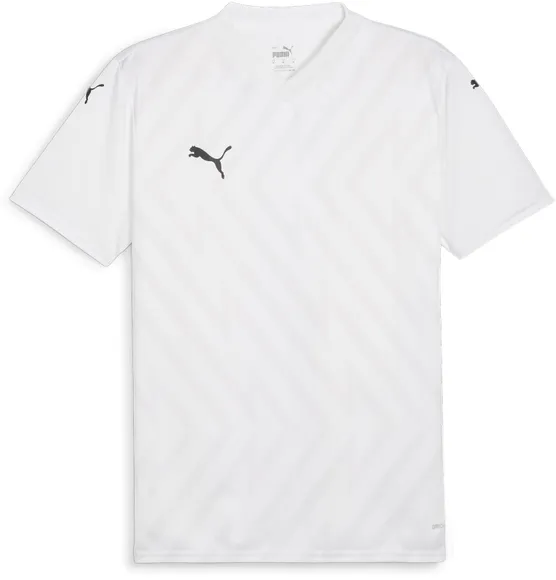 Футболка Puma teamGLORY Jersey 70574004